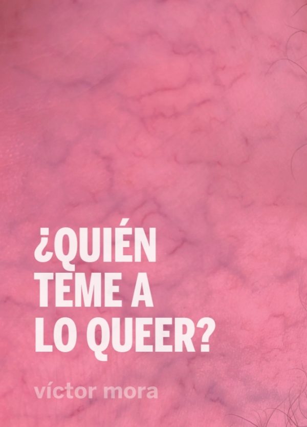 ¿QUIÉN TEME A LO QUEER?